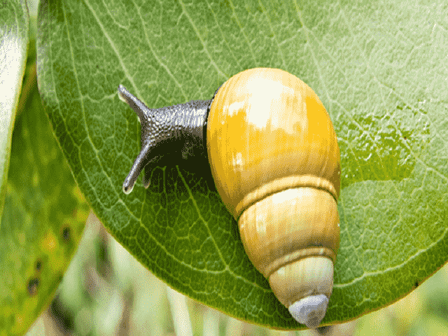 Con số là chính xác