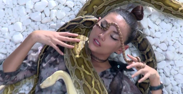 Mơ thấy rắn quấn vào nhau