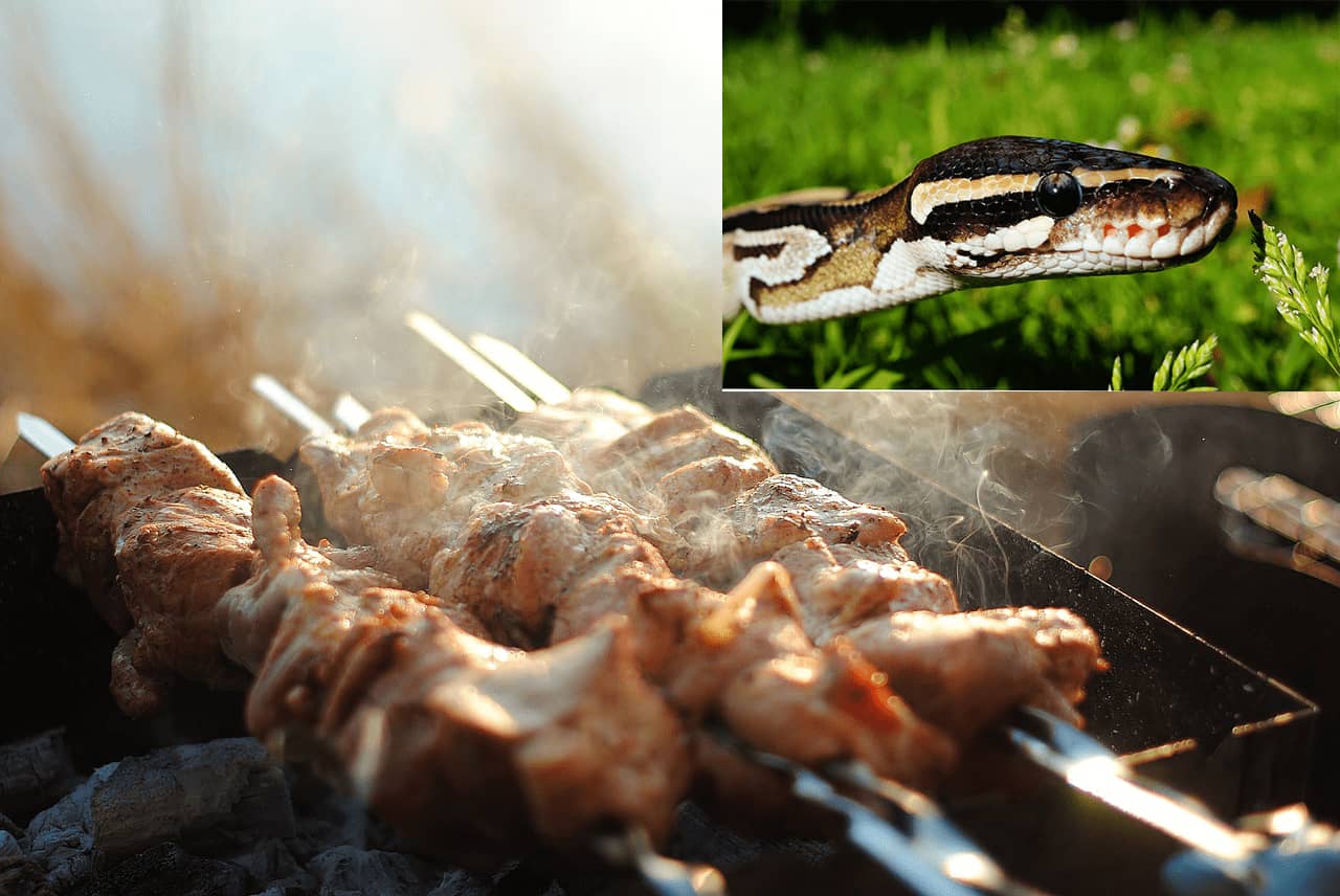 Con rắn trong giấc mơ của bạn là số mấy?