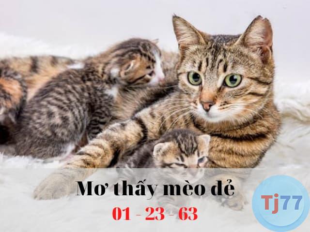 Nằm mơ thấy mèo đẻ
