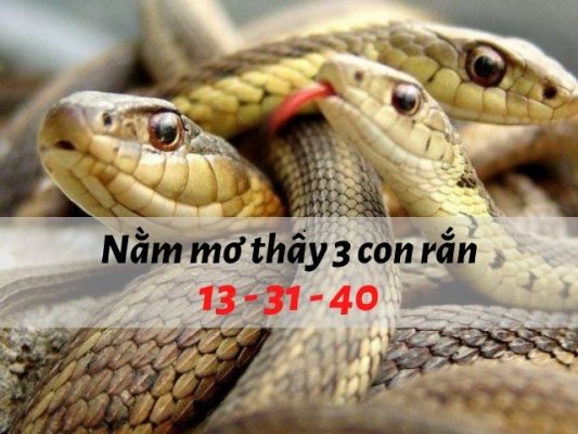 giấc mơ thấy 3 con rắn