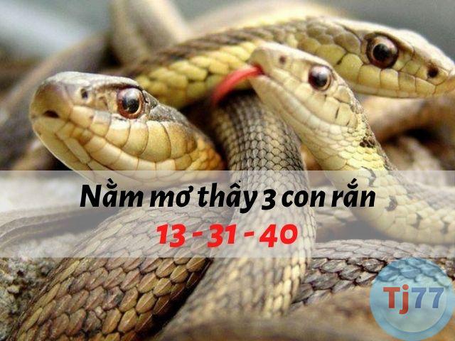 giấc mơ thấy 3 con rắn