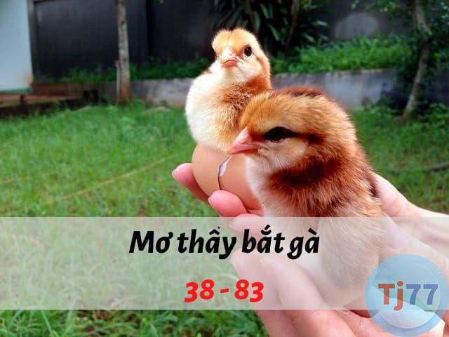 Nằm mơ thấy bắt gà