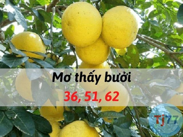 Mơ thấy quả bưởi đánh con gì