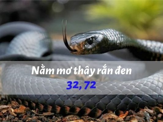 Nằm mơ thấy rắn đen