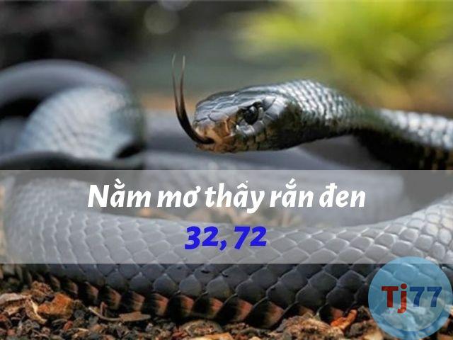 Nằm mơ thấy rắn đen