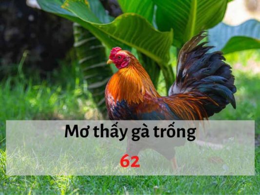 Nằm mơ thấy gà trống đánh con gì