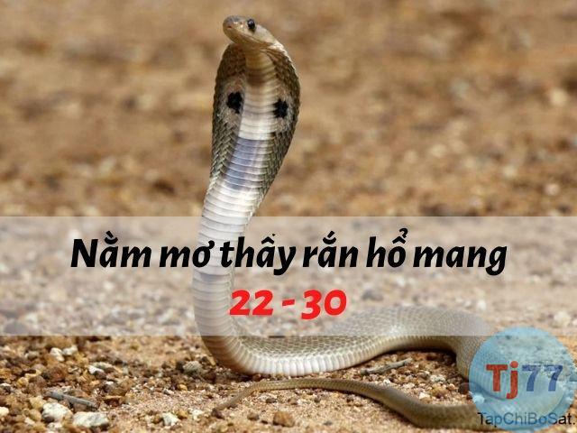 Nằm mơ thấy rắn hổ mang