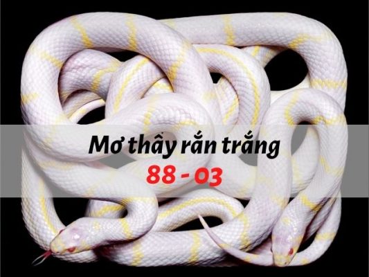 nằm mơ thấy bạch xà