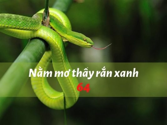 Nằm mơ thấy rắn lục