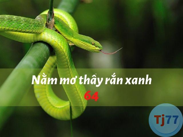 Nằm mơ thấy rắn lục