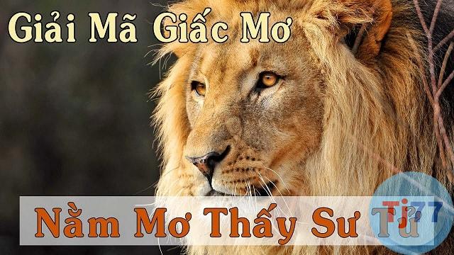 giấc mơ thấy sư tử