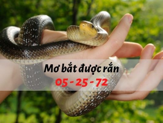 Nằm mơ bắt được rắn