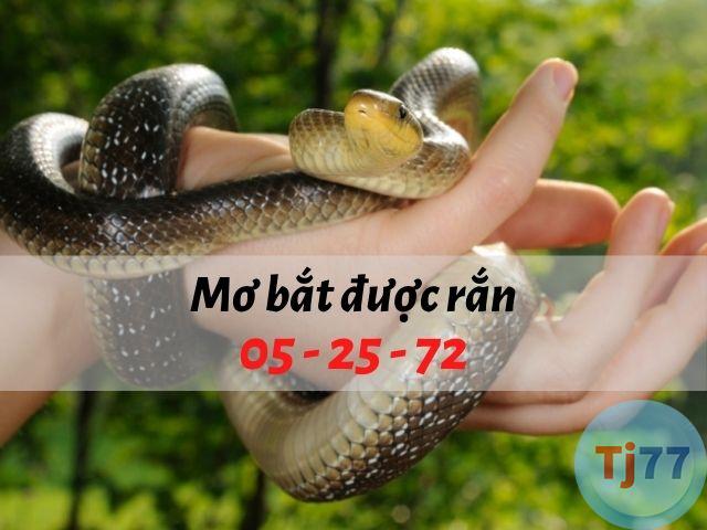 Nằm mơ bắt được rắn