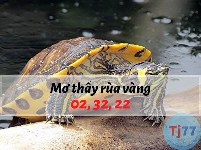 Nằm mơ thấy rùa vàng