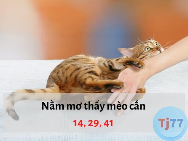 Nằm mơ thấy mèo cắn