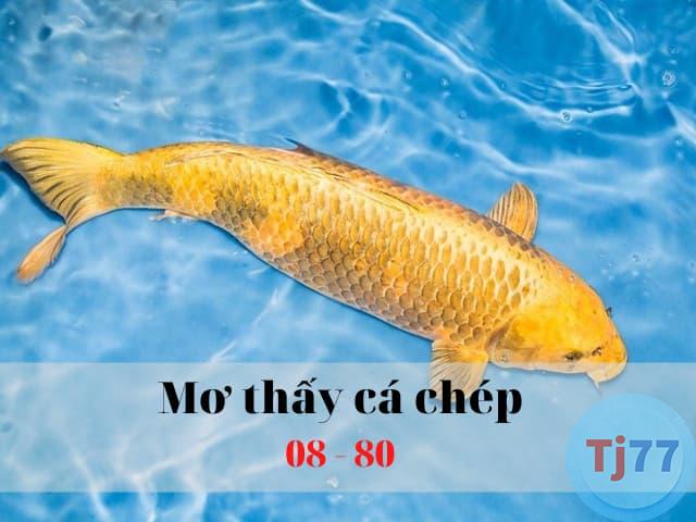 Nằm mơ thấy cá chép