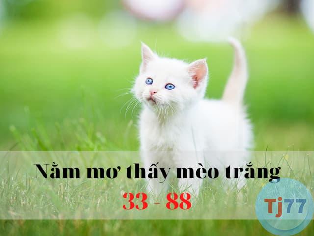 Nằm mơ thấy mèo trắng