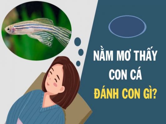 số con cá là mấy