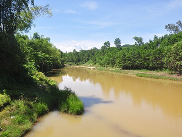 Những giấc mơ rơi xuống sông