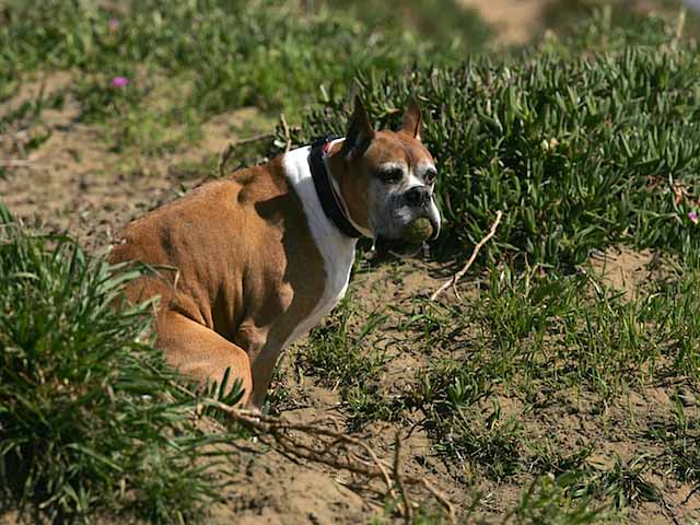 Thay vào đó cắt