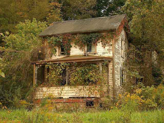 Mo thay nha, hoang nha