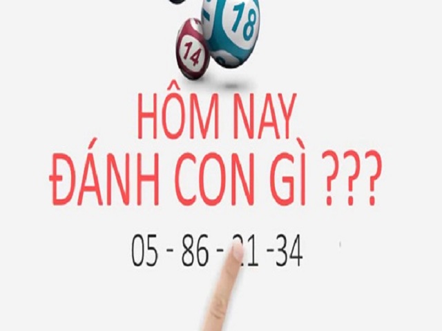 Bạn tên là gì?