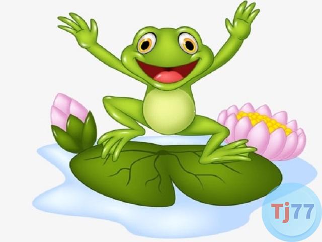 giấc mơ thấy ếch