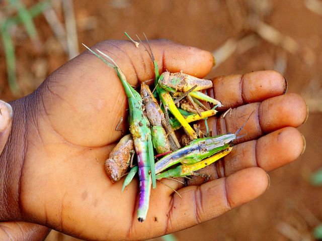 Bạn đổi tên để làm gì?