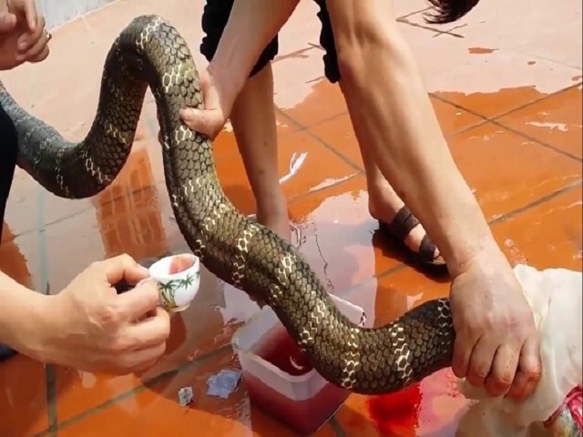 Văn bản đã được đánh dấu là 25