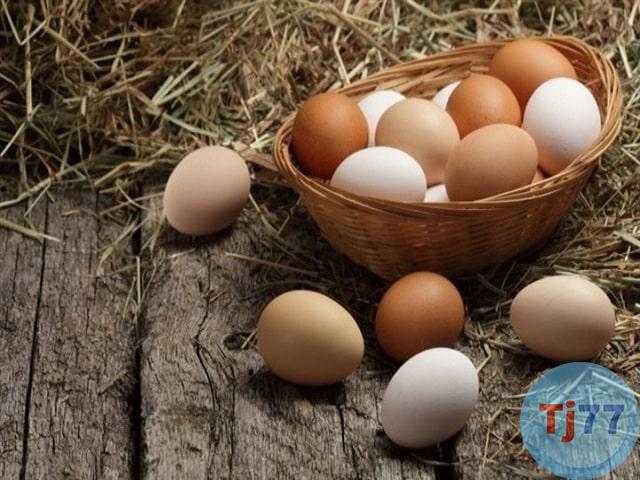 mô thấy trứng vịt số gì