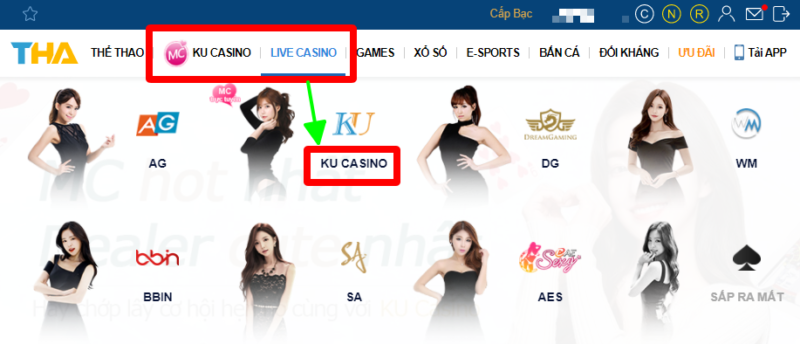 pok-deng-live-casino-Tj77-1