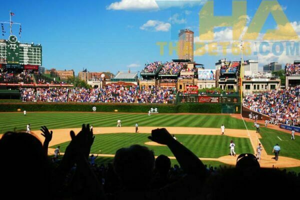 Cách chơi-cook-bong-veh