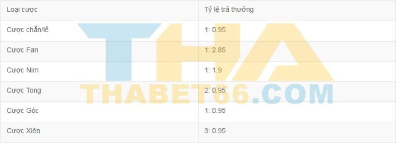 How-choi-fantan-Tj77