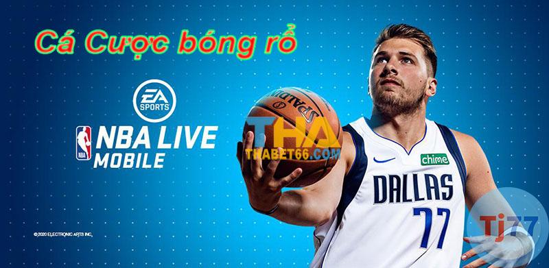 Cá cược bóng rổ Thiên hạ bet casino