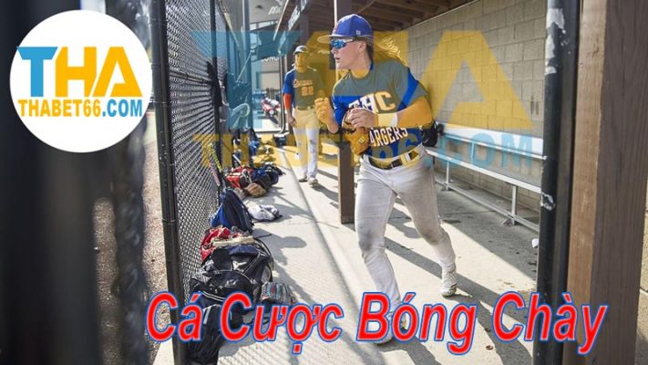 Cách chơi cá cược bóng chày