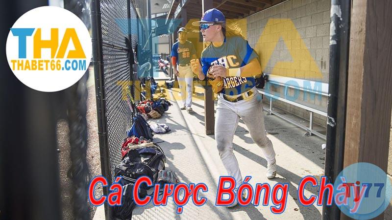 Cách chơi cá cược bóng chày