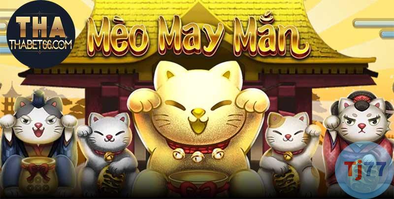 trò chơi mèo may mắn