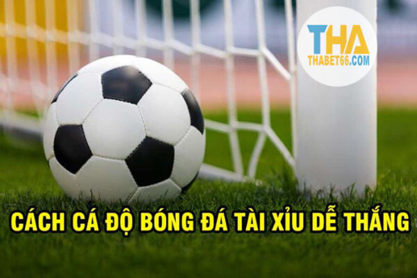 Cá cược và đặt cược trên Tj77