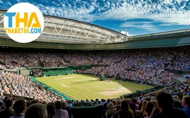 kinh nghiệm quần vợt