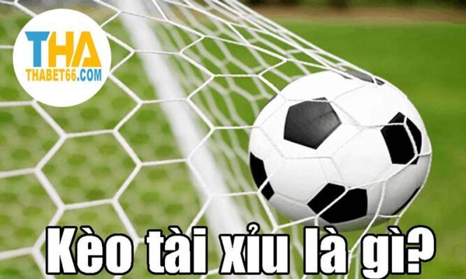 Kèo tài xỉu là gì?Đặt cược trên Tj77