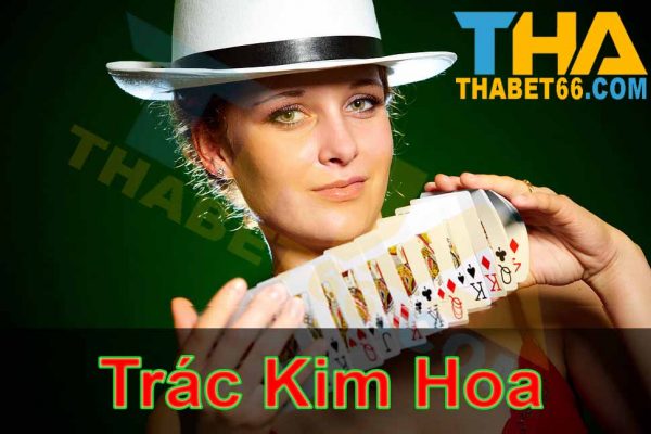kinh nghiệm Trác Kim Hoa