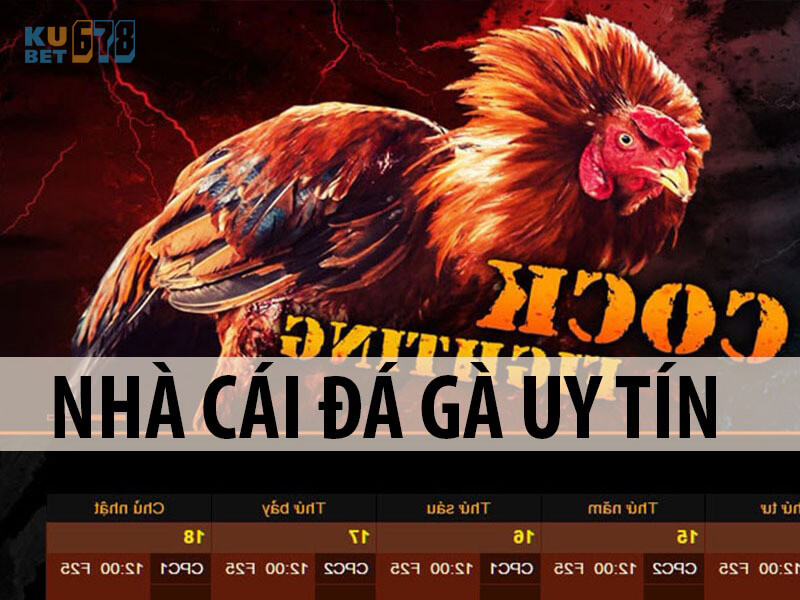 chọi gà trực tuyến