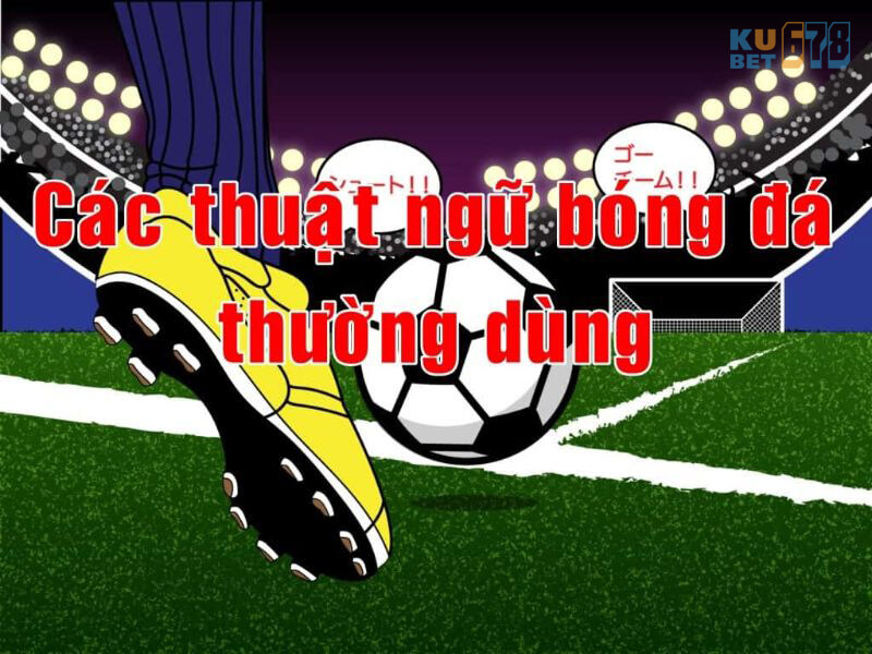 điều khoản cá cược bóng đá