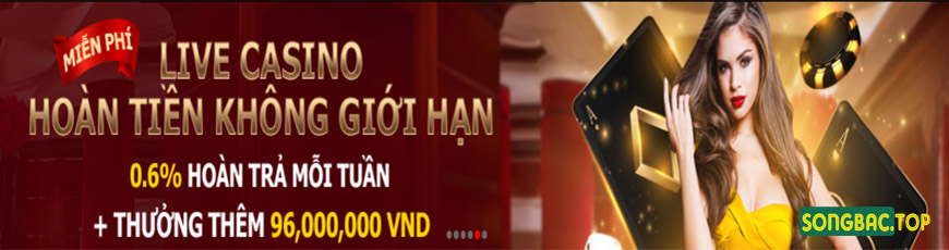 trang chơi đánh bạc trên mạng