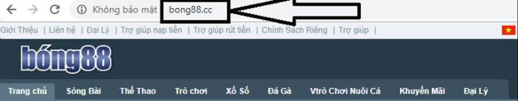 Ngôi nhà giả vờ là một bong bóng