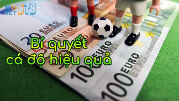 cá cược i9bet59