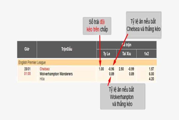 Tỷ lệ cá cược 2 trong 1