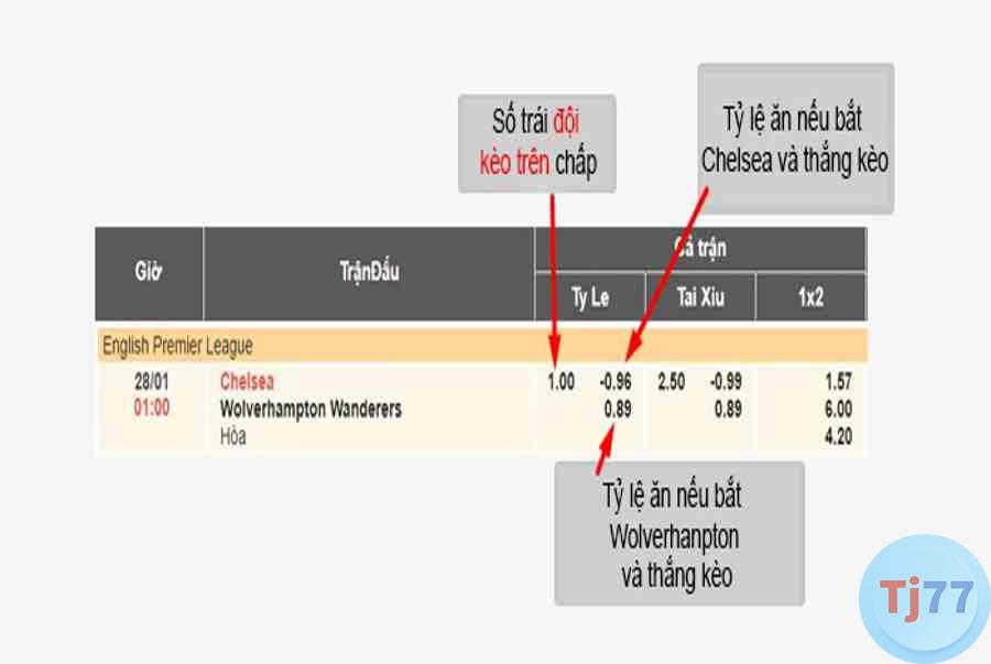 Tỷ lệ cá cược 2 trong 1