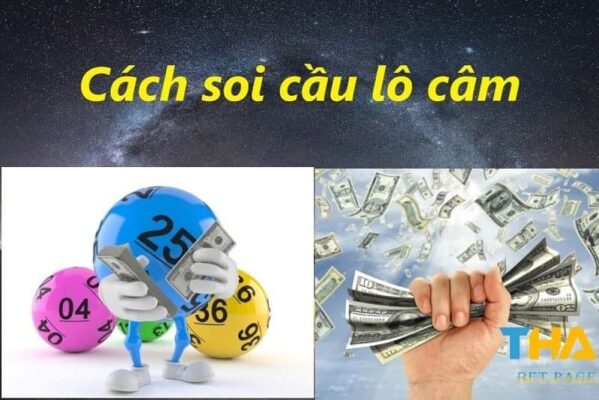 Cách soi cầu lô câm
